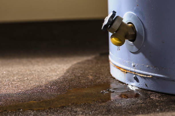 Water damage restoration mold remediation in IN