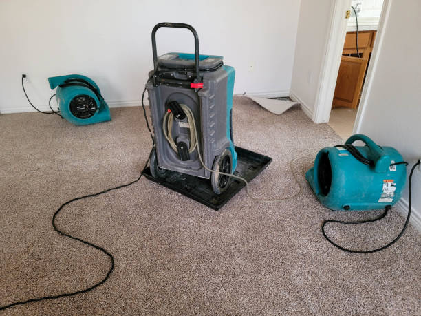 Best Residential water damage restoration  in Angola, IN