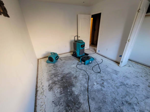 Best Water damage contractors near me  in Angola, IN