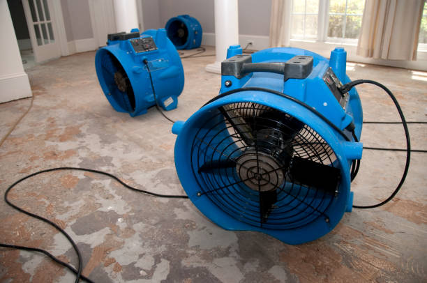 Best 24-hour water damage restoration  in Angola, IN