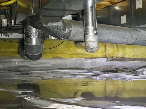Carpet water damage restoration in IN