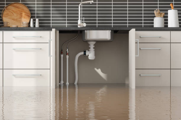 Best Commercial water damage restoration  in Angola, IN