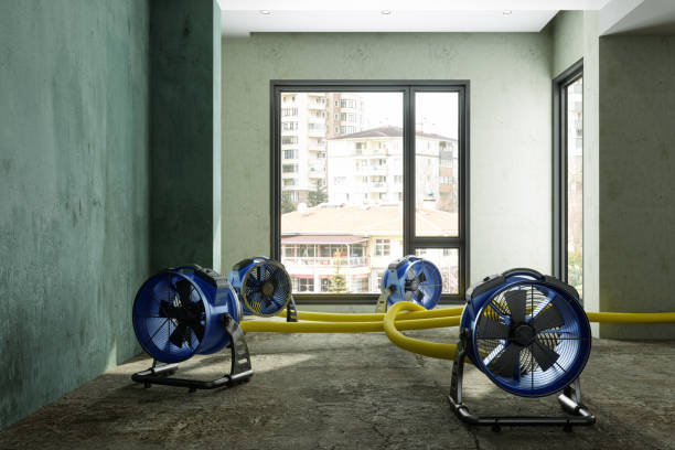 Best 24/7 water damage repair  in Angola, IN