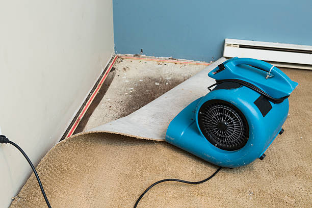 Best Emergency water damage restoration  in Angola, IN